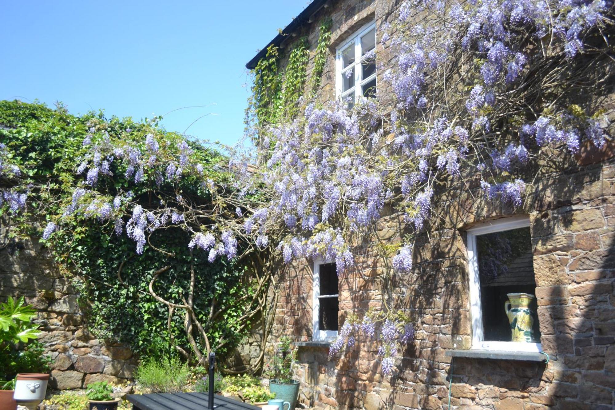 The Old Police Station Villa Hatherleigh Exterior foto